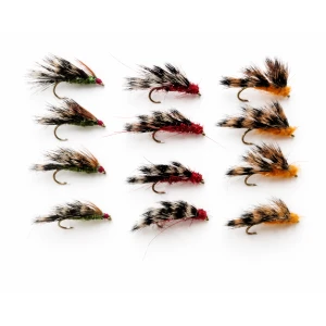 12 Sedgehogs - Red, Orange & Olive