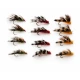 12 Sedgehogs - Red, Orange & Olive