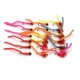 18 Barbless Squirminator and Squirmy Worm
