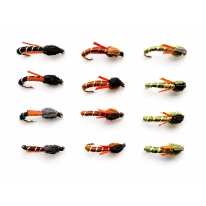 12 Biot Buzzer - Mixed Colours