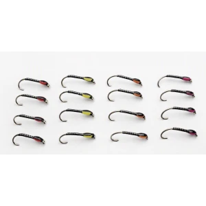 16 Quill Buzzers - Pink, Red, Yellow, Orange