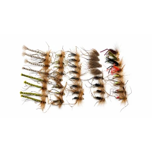 40 Mixed Daddy Long Legs