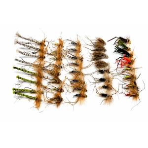 40 Mixed Daddy Long Legs