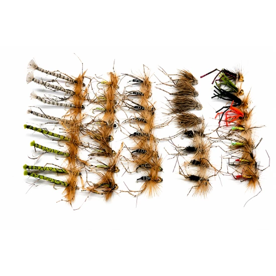 40 Mixed Daddy Long Legs