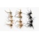 12 Barbless Daddy Long Legs - GH & unweighted, Black & Natural