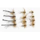 12 Barbless Daddy Long Legs, Natural Detached, Standard & Goldhead