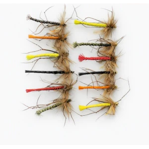 12 Coloured Detached Daddys, GH & Unweighted