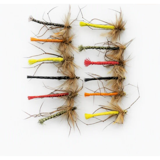 12 Coloured Detached Daddys, GH & Unweighted