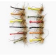 12 Coloured Detached Daddys, GH & Unweighted