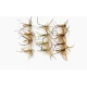 12 Coloured Tip Daddy Long Legs - orange, lime & red
