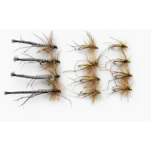 12 Daddy Long Legs, Natural Detached Normal & Goldhead