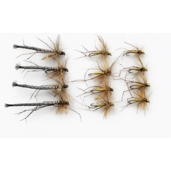 12 Daddy Long Legs, Natural Detached Normal & Goldhead