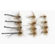 12 Daddy Long Legs, Natural Detached Normal & Goldhead