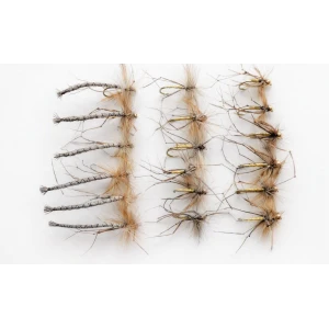 18 Daddy Long Legs, Detached,Goldhead and Natural