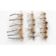 18 Daddy Long Legs, Detached,Goldhead and Natural