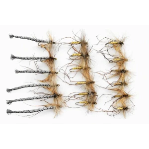 18 Daddy Long Legs, Detached and Standard