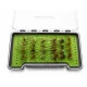 24 Daddy Long Legs Flies in a Troutflies LARGE Silicone Insert Box