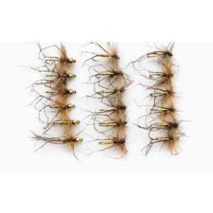 18 Daddy Long Legs, Normal & Goldhead
