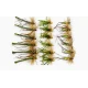 18 Daddy Longlegs - Lime Tip, Olive Flexi and Olive Detached