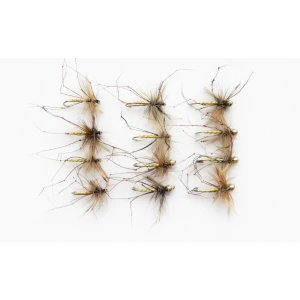 12 Daddys, Standard and Goldhead