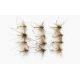 12 Daddys, Standard and Goldhead