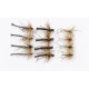 12 Detached Daddy Unweighted, Brown Foam, Natural Detached, Standard