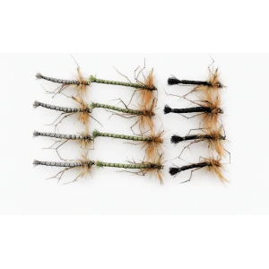 12 Detached Daddy Unweighted, Natural,Olive & Black