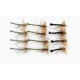 12 Detached Daddy Unweighted, Natural,Olive & Black