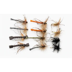 12 Detached and Standard Daddy, Mixed Collection