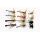 12 Detached and Standard Daddy, Mixed Collection