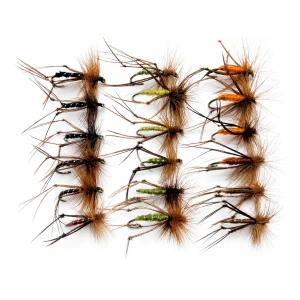 18 Hoppers, Mixed Colours