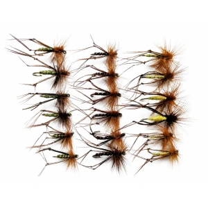 18 Hoppers - Olive, Yellow and Claret