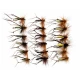 18 Hoppers - Olive, Yellow and Claret