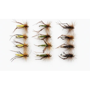 12 Hoppers - Claret, Olive & Yellow