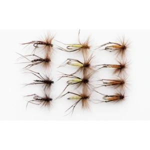 12 Hoppers Orange,Claret & Yellow