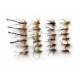 24 Mixed Daddys and Hoppers - Including Detached