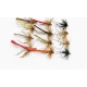 12 Mixed Pattern Daddys
