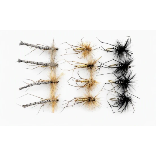 12 Mixed Daddys, Detached, Black & Standard