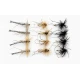 12 Mixed Daddys, Detached, Black & Standard