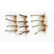 12 Unweighted Daddys - Natural detached, Olive detached and Brown Foam