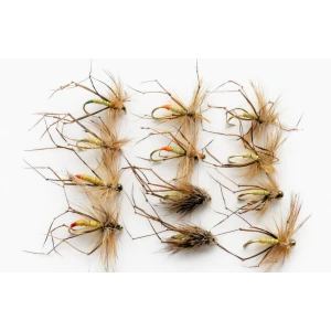 12 Mixed Daddy, Tipped, Muddler & Standard