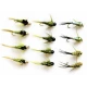 12 Goldhead Nymph - OLIVES -Evil weevil, Tungstens, Goldheads