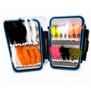 24 Boobys - Blue Rim Clear Lid Box