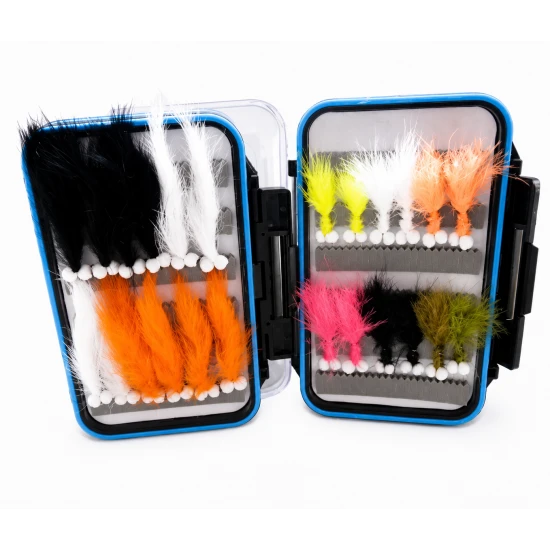 24 Boobys - Blue Rim Clear Lid Box