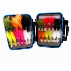24 Conehead/Dog Nobblers -  - Blue Rim Clear Lid Box