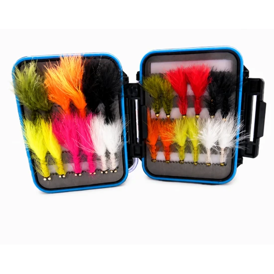24 Conehead/Dog Nobblers -  - Blue Rim Clear Lid Box