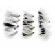 12 Barbless Cruella Cats Whiskers