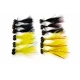 12 Booby Flash Damsel