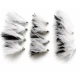 12 Cruella Cats Whiskers