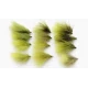 12 Dawsons Olives, Goldhead and Unweighted